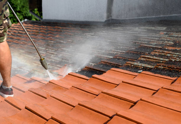 Best Commercial Pressure Washing  in Freeland, PA