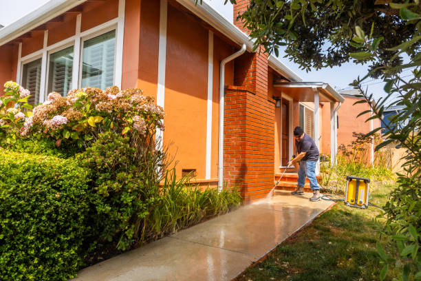 Best Local Pressure Washing Services  in Freeland, PA
