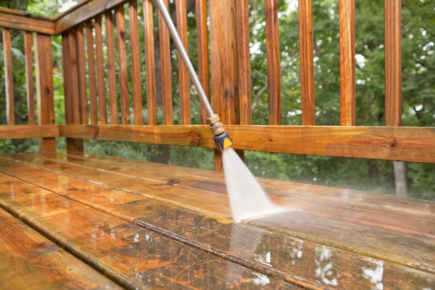 Best Roof Power Washing Services  in Freeland, PA
