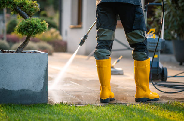 Best Power Washing Near Me  in Freeland, PA